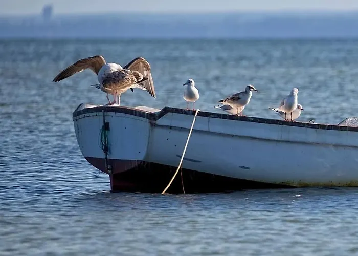 Bed & Breakfast Da Alessandra *